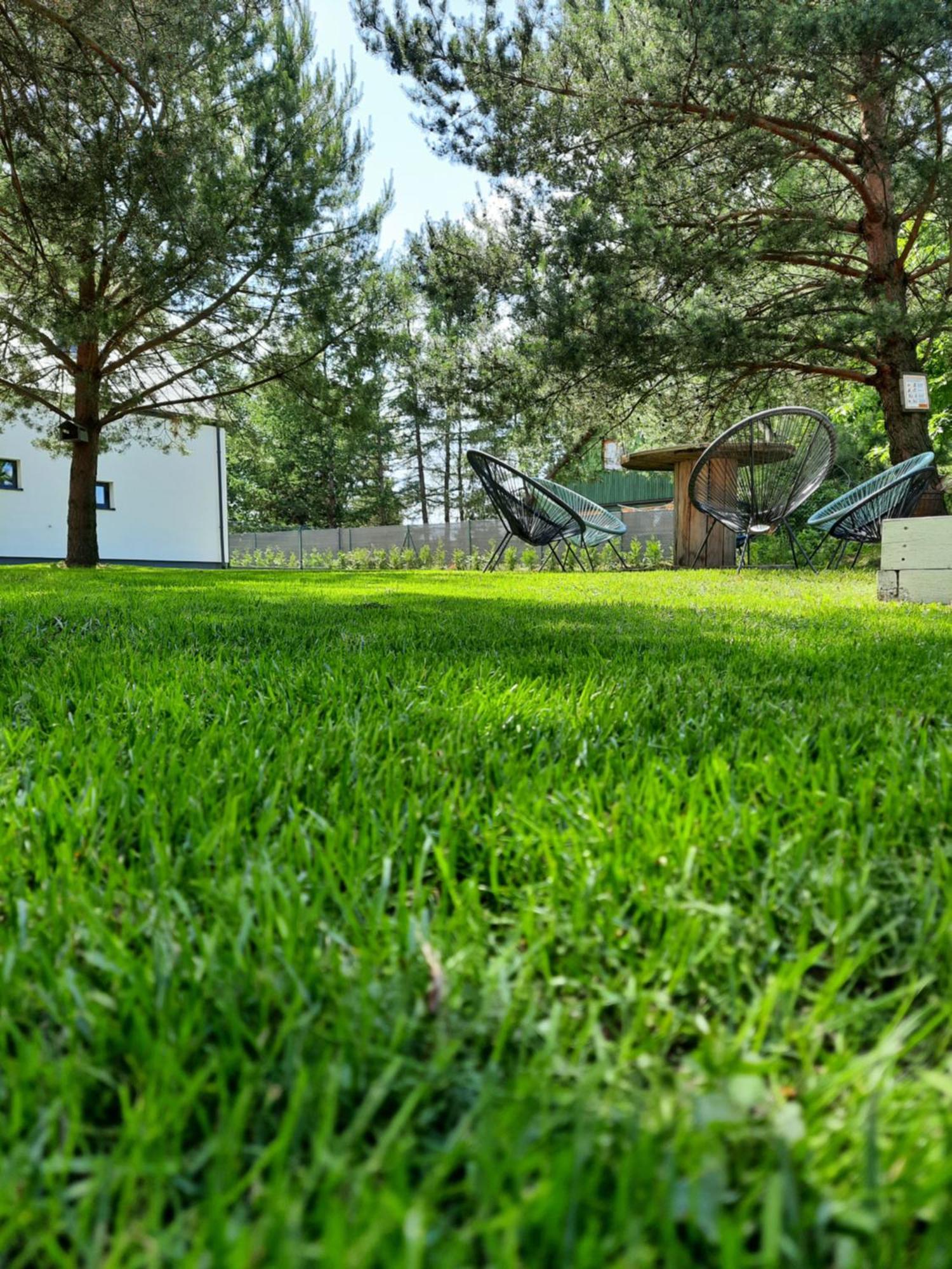 Villa Sosnowe Zacisze Sasino Exterior foto