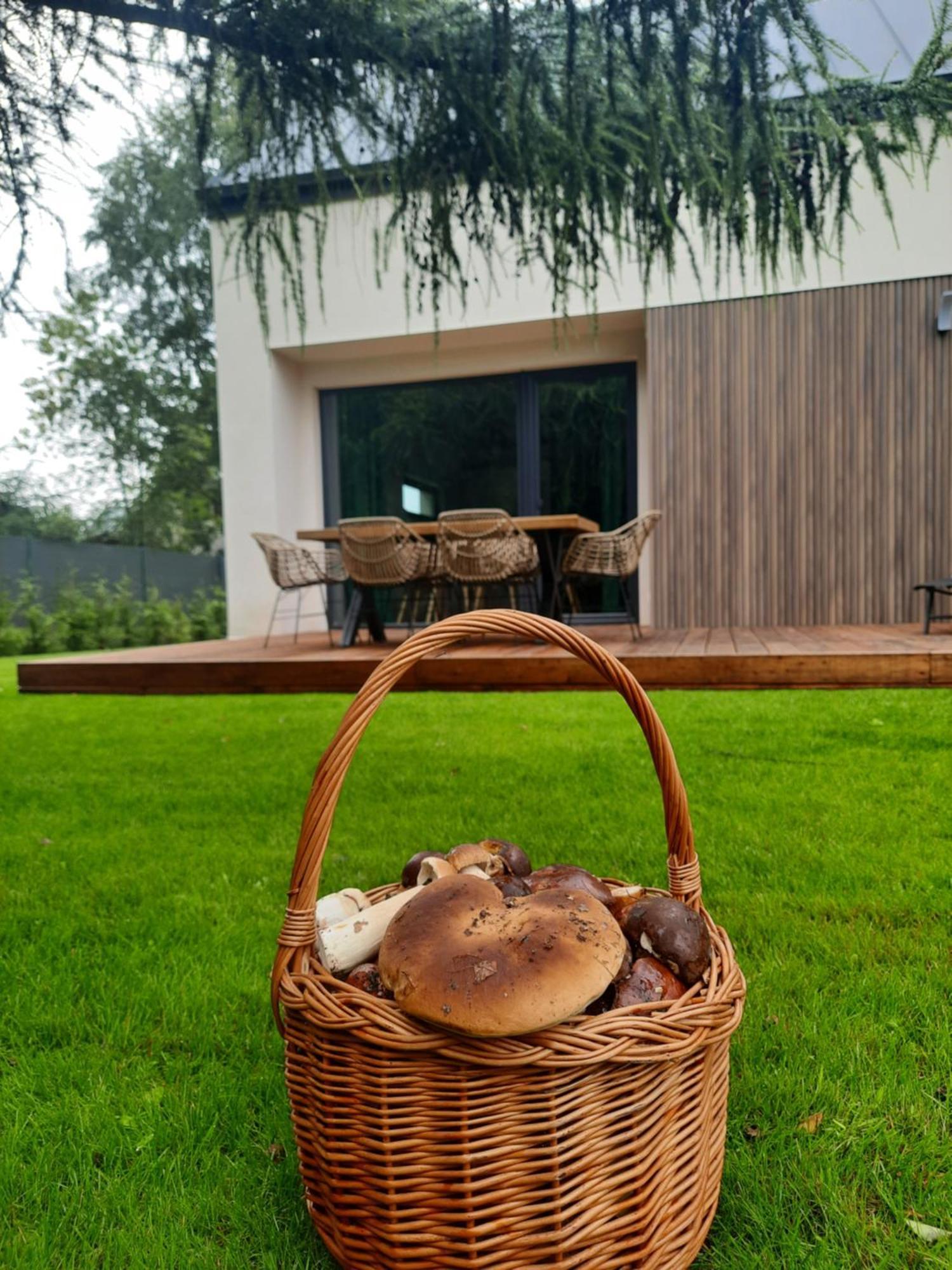 Villa Sosnowe Zacisze Sasino Exterior foto