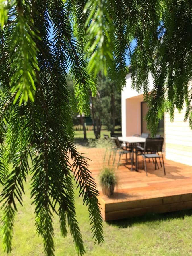 Villa Sosnowe Zacisze Sasino Exterior foto